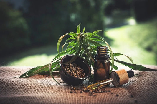Health Benefits of CBD Oil and CBD Products